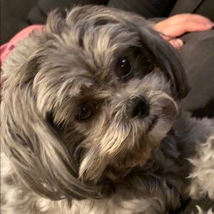 Meet your Posher, Jayden